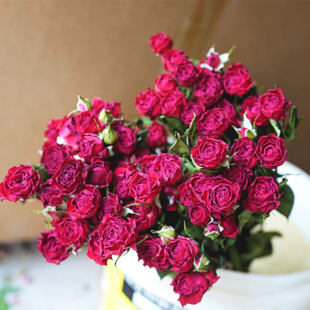 Buket Bunga Mawar Kering Alami - Resin Art Rose ulasan dan harga