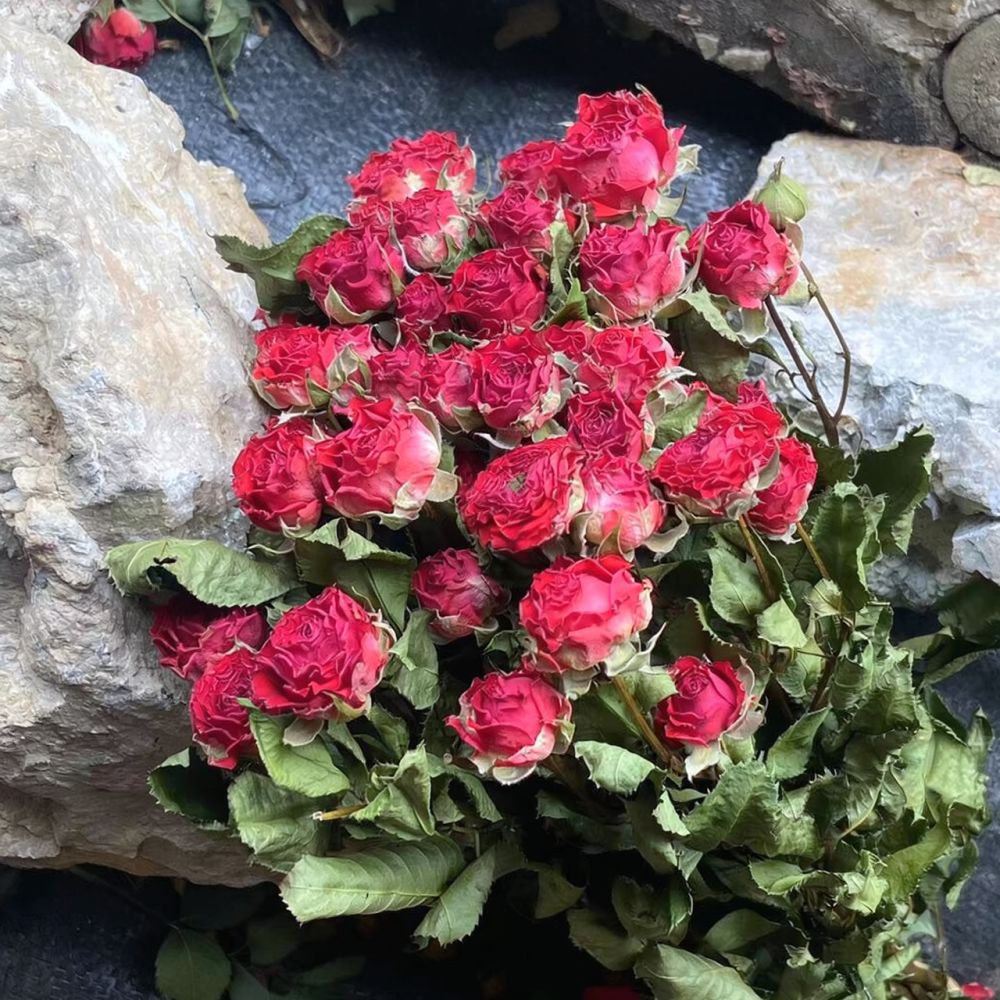 Buket Bunga Mawar Kering Alami - Resin Art Rose ulasan dan harga
